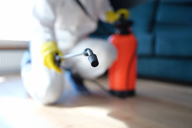 Best Biohazard Mold Removal  in Pleasant Garden, NC