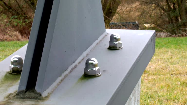 Best Attic Mold Removal  in Pleasant Garden, NC